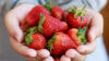how many calories are in a single strawberry fresh strawberries close up